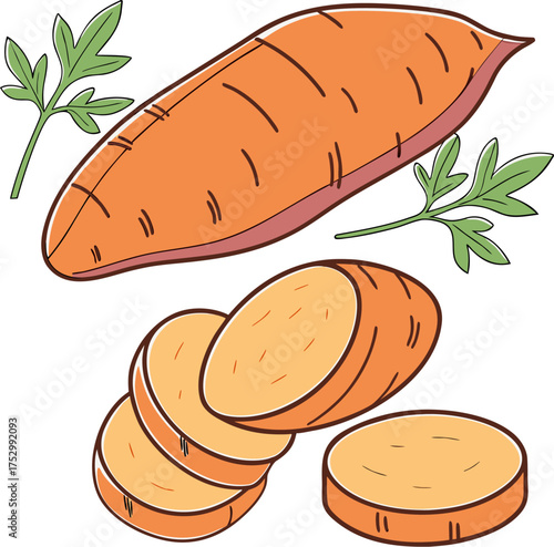 Orange sweet potato whole and sliced with green leaves root vegetable food