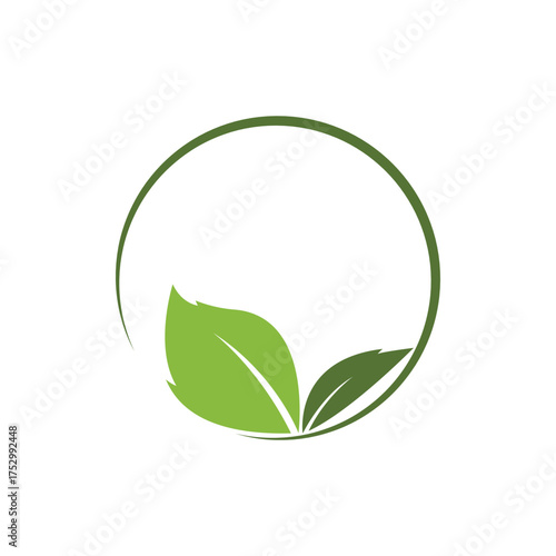 Eco icon green leaf vector illustration