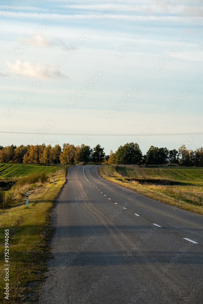 Fototapeta premium Empty Country Road Leading into the Horizon in Autumn