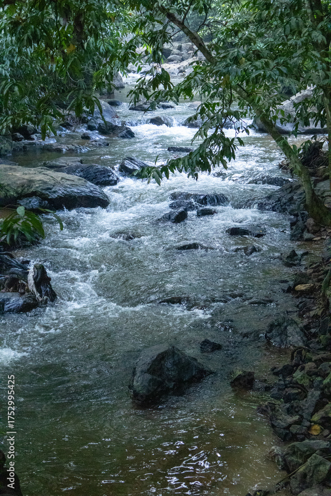 Fototapeta premium Fast-flowing stream with rapids and rocks, winding through dense jungle—capturing the untamed, vibrant energy of Kerala’s rivers and eco-tourism scenes