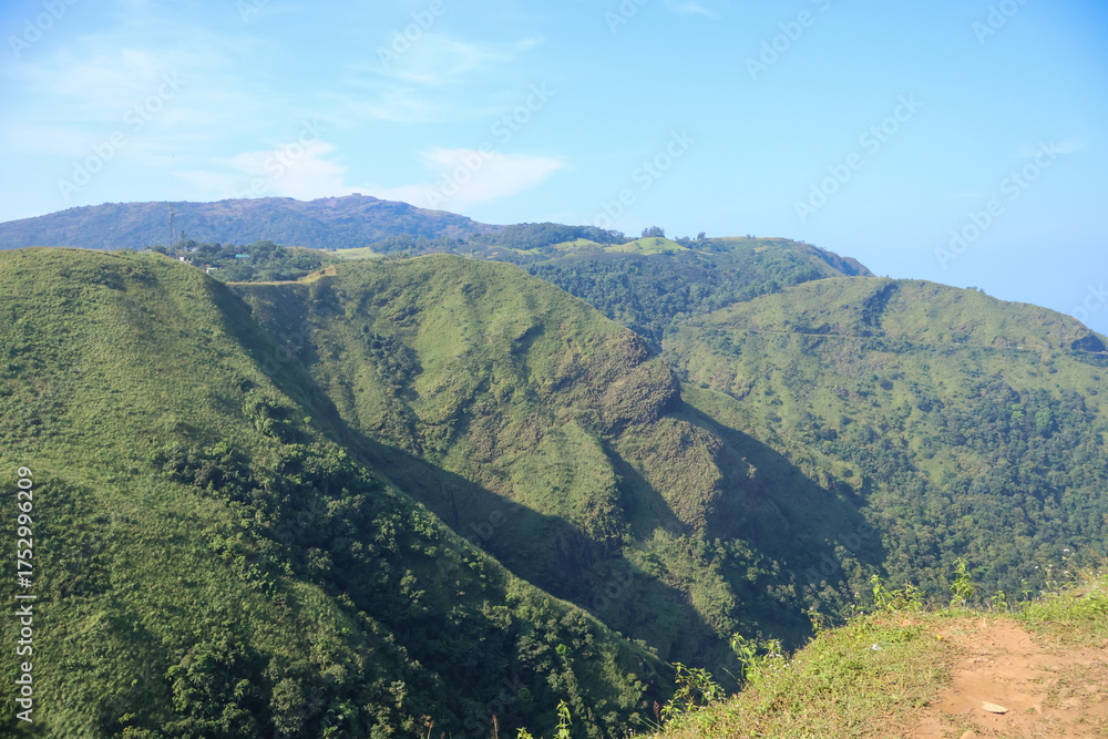 Obraz premium Sun-lit Vagamon hills in Kerala glow with fresh greenery under a clear morning sky, creating a tranquil landscape perfect for travel, nature, and scenic backgrounds
