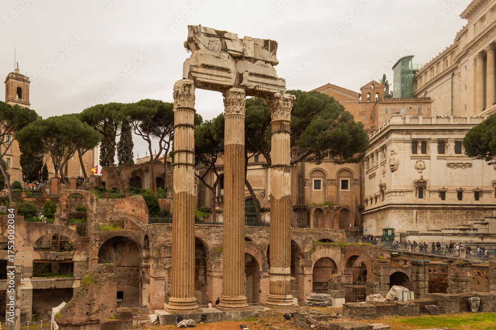 Fototapeta premium roman forum rome italy