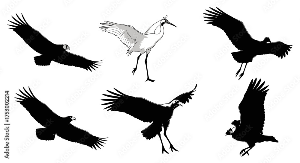 Obraz premium Dynamic abstract graphic design with flowing lines and curves in silhouette style