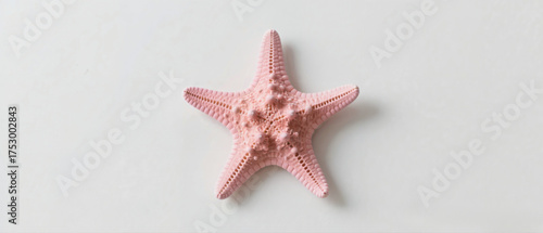 Pink Starfish on White Background