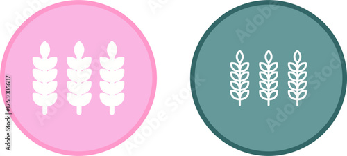 Wheat Vector Icon