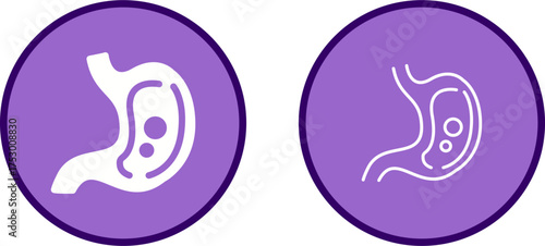 Stomach Vector Icon