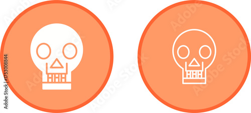 Skull X ray Vector Icon