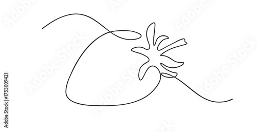 Line art strawberry