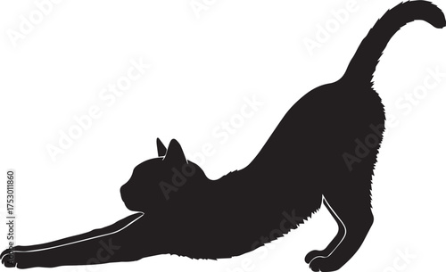 Elegant black cat silhouette stretching gracefully in a playful pose