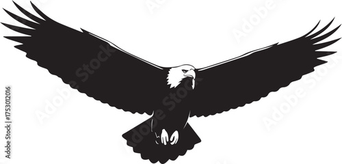 Majestic bald eagle soaring with wings spread wide in flight silhouette