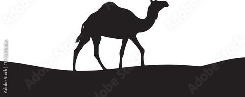 Silhouette of a dromedary camel walking across desert sand dunes during the day