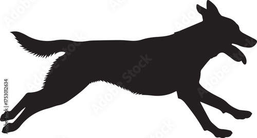 Silhouette of a german shepherd dog running and panting with tongue out
