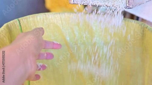 Rice milled by rice milling machine