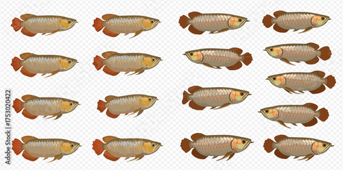 A grid of sixteen cartoon Arowana fish swimming to the right.