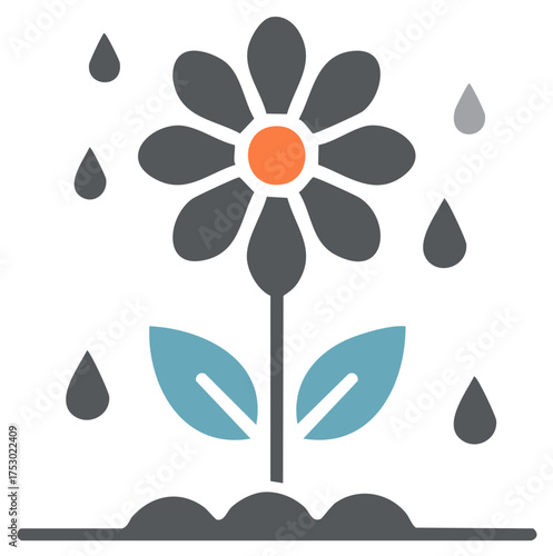 Stylized Daisy Flower Growing and Receiving Rain Drops, Simple Flat Graphic Icon
