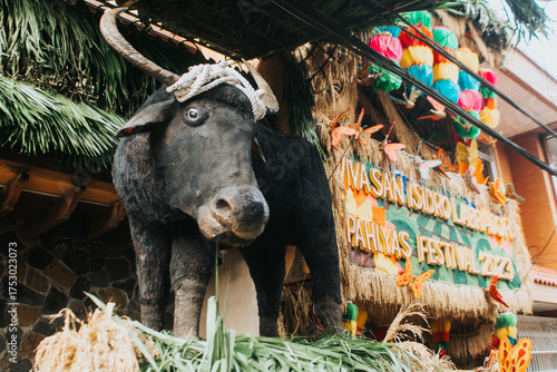 Carabao Display at Pahiyas Festival 2023 in Lucban, Quezon Province, Philippines