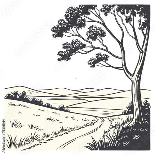 landscape, scenic countryside, rolling hills, winding path, lone tree, black and white, detailed linework, woodcut style, linocut, chiaroscuro, minimalist, digital illustration
