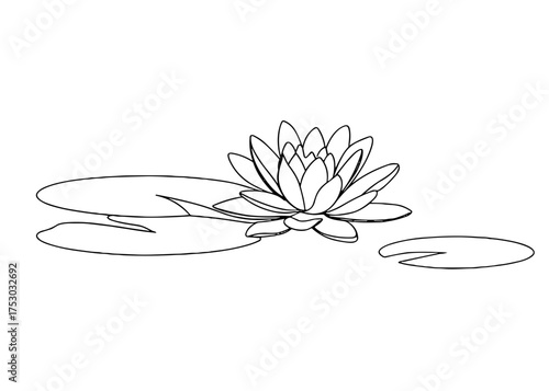 Outline drawing of a water lily with leaves on calm water  