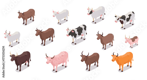 Isometric cattle variety set: diverse farm cows and bulls in 3d style