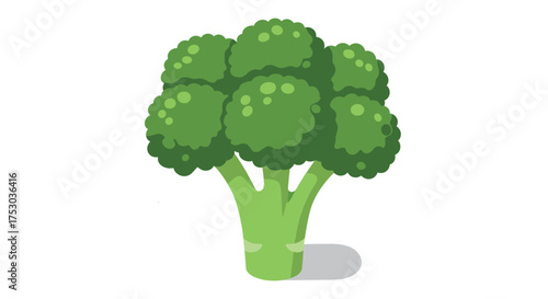Colorful broccoli on white background: fresh and healthy vegetables