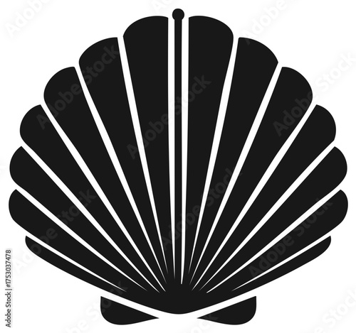 Stylized Shell Depiction Elegant Black Shape Simple Shellfish Artwork