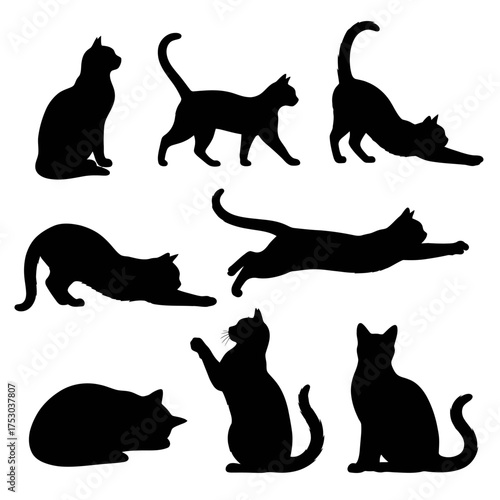 Cat silhouettes set isolated on white background vector illustration