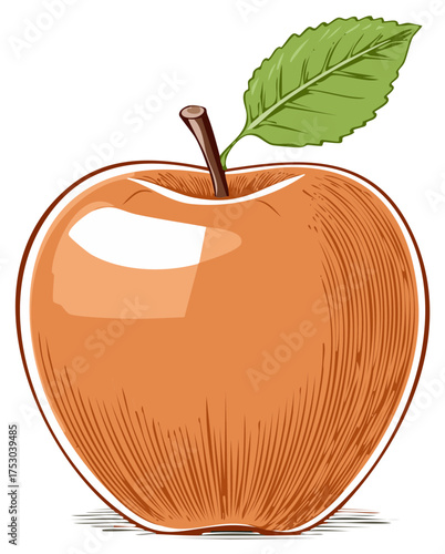 Vintage Engraved Style Orange Apple Illustration with Green Leaf