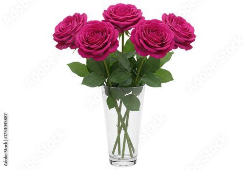 Bouquet of five magenta roses in a clear glass vase isolated, beautiful flower arrangement for home decor and special occasions