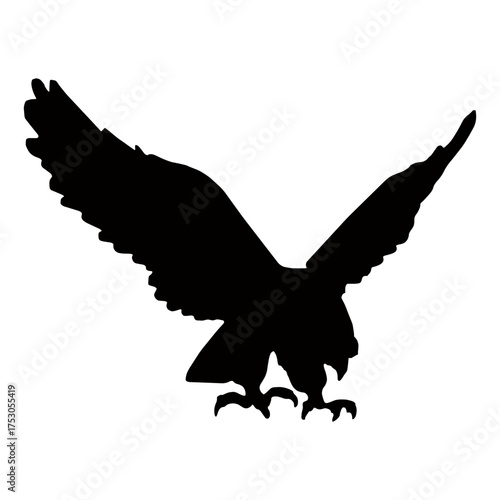 Vector silhouette of an eagle standing on a white background