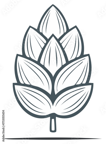 Hops Cone Outline Illustration Fresh Beer Ingredient Brewing Vector Design