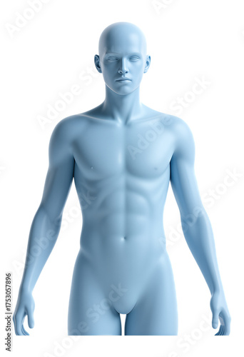 Wallpaper Mural Light Blue Male Torso on Transparent Background, 3D Realism Design Element Torontodigital.ca