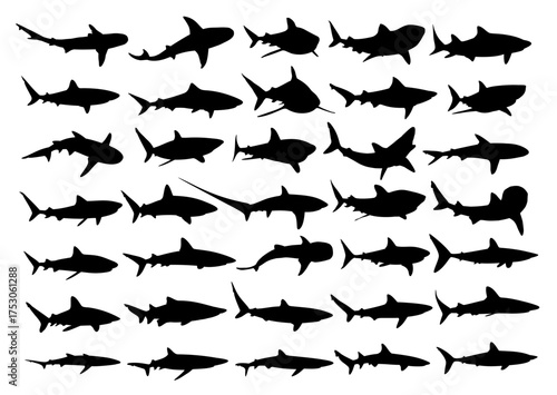 The big set silhouettes of big sea sharks.
