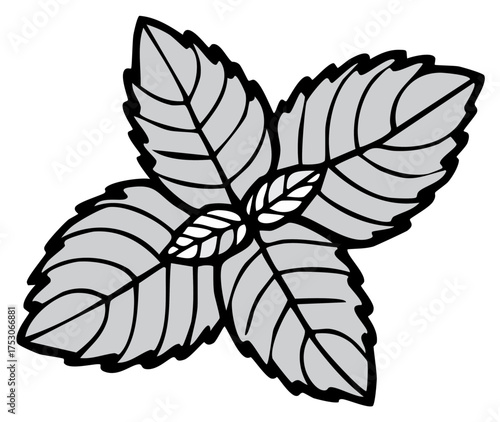 Simple black and white line art illustration of a mint herb sprig