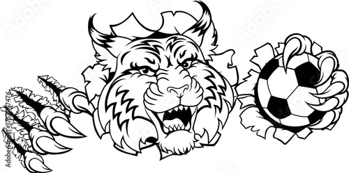 A wildcat or bobcat soccer football ball animal sports team mascot