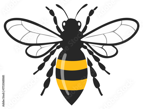 Black and yellow striped bee illustration with spread wings and detailed legs, antennae