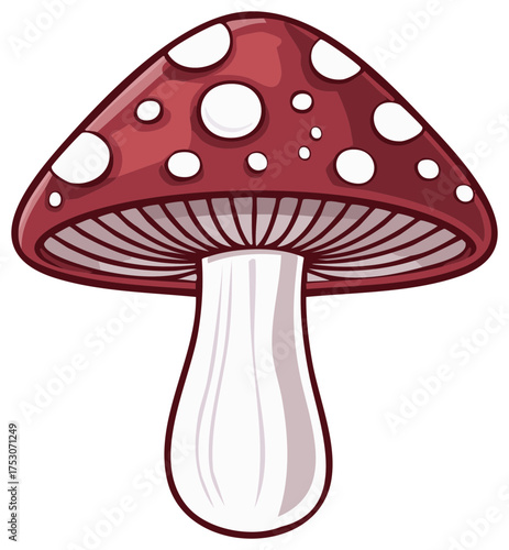 Cartoon illustration of a red mushroom with white spots, a toadstool in vector style