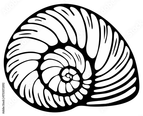 Wallpaper Mural Black and White Vector Illustration of Nautilus Shell with Intricate Spiral Pattern Torontodigital.ca