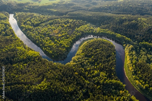 Breathtaking aerial view of a winding river flowing through a lush green forest, ideal for travel brochures, environmental campaigns, and showcasing serene natural landscapes
