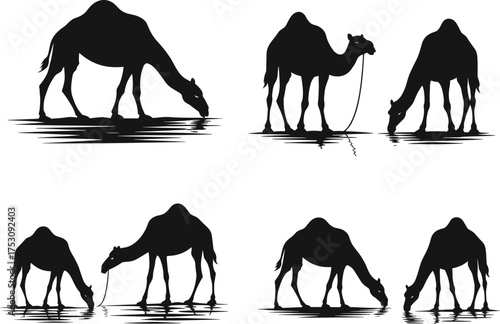 Camel silhouettes drinking water in desert, wildlife behavior, animal hydration, nature reflection, arid environment, black vector art, stock illustration, realistic scene