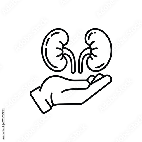 Hand holding and protecting human kidneys medical illustration