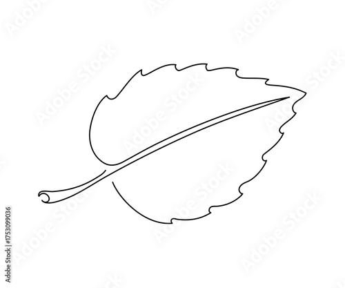 Continuous one line drawing of leaf. Leaf hand drawn sketch. Autumn harvest. Vector illustration