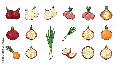 A collection of various onion types, including red, white, yellow, and green onions, depicted as cartoon-style illustrations.