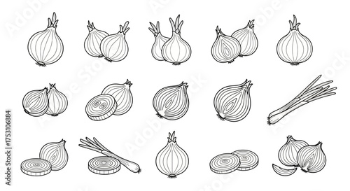 Black and white line art illustration depicting various arrangements of whole and sliced onions, including single and multiple onion groupings.