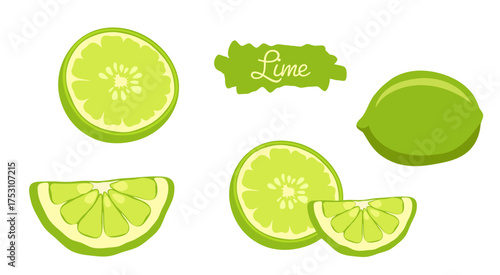 Lime citrus fruit botanical hand drawn vector illustration