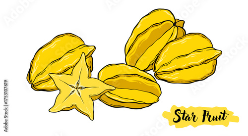 Star fruit carambola tropical botanical hand drawn vector illustration