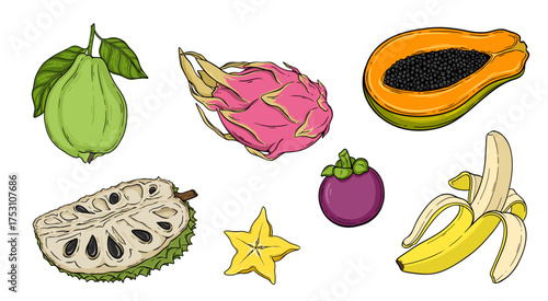 Set of tropical fruit Mangosteen, Dragon fruit, Star fruit, Guava, Papaya, Banana, Soursop illustration