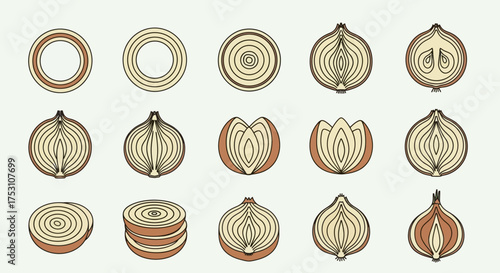 Fifteen stylized onion illustrations showing various cross-sections and cuts, arranged in a neat grid on a light background.