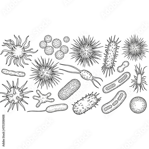 Diverse Collection of Microscopic Organisms in Detailed Black and White Illustration.
