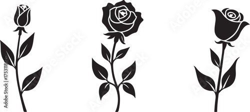 Elegant Rose Flower Silhouette Bundle