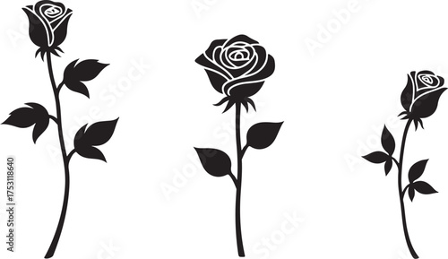 Elegant Rose Flower Silhouette Bundle